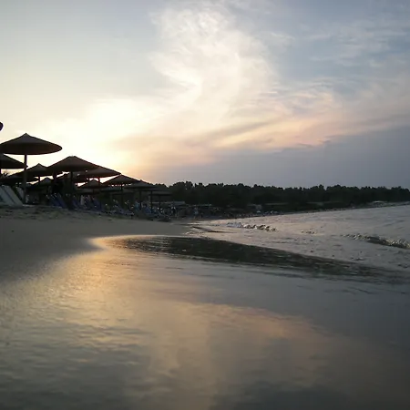 Kripis פאליאורי